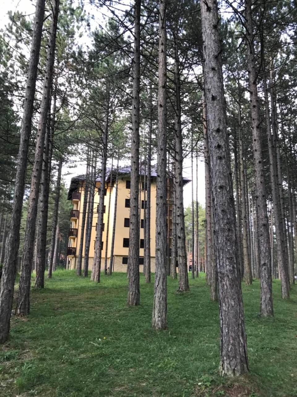 Zlatibor Apartmani Jakovljevic Exterior photo